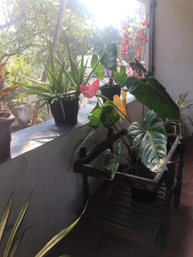Marari Sibiya Beach Villa 마라리쿨람 외부 사진